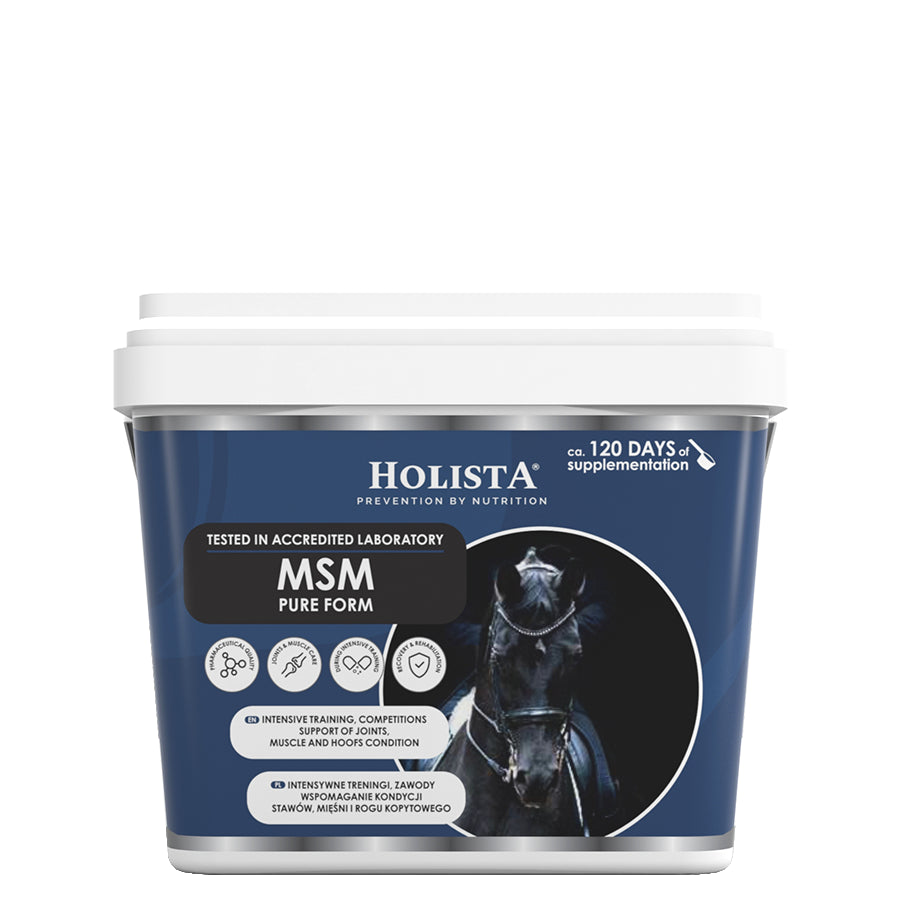 HolistaEquine MSM Pure Form 900g