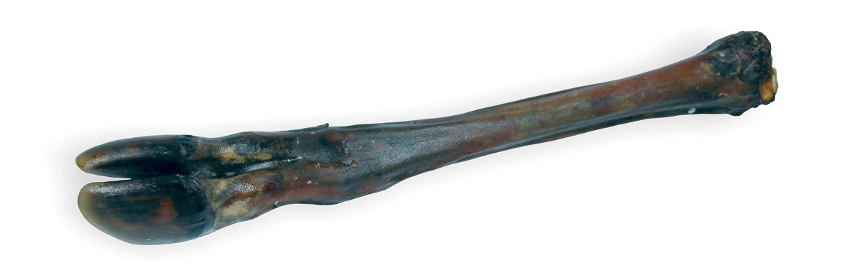 Naturalna, suszona racica jelenia dla dużych psów jako trwały gryzak do żucia