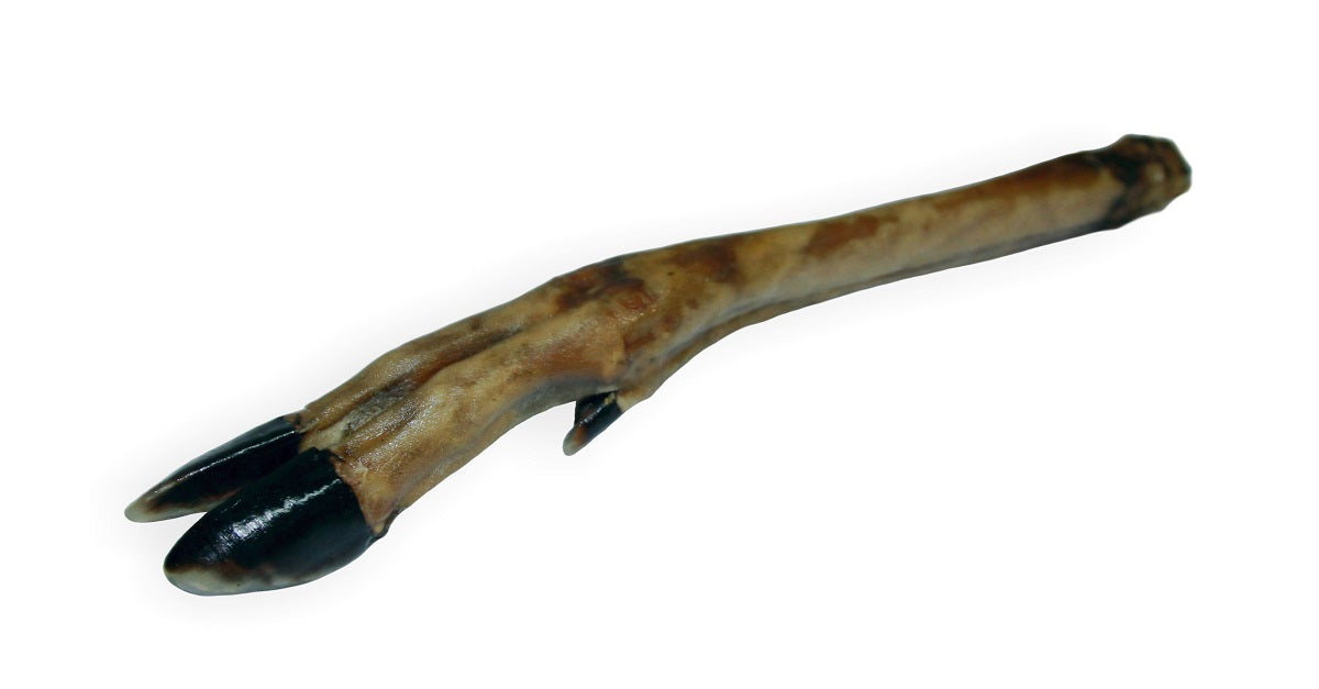 Wędzona gumowa zabawka do żucia dla psa w kształcie racicy sarny