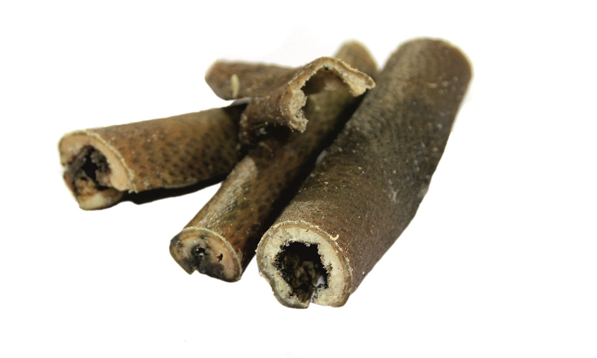 Naturalny gryzak dla psa z suszonej skóry dzika, zdrowa i wysokobiałkowa przekąska