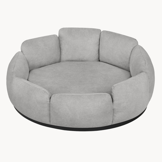 Camelia image 0