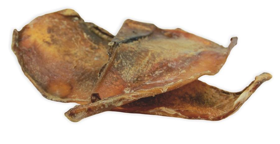 Duży, twardy gryzak z wołowej chrząstki, naturalne źródło kolagenu dla psa