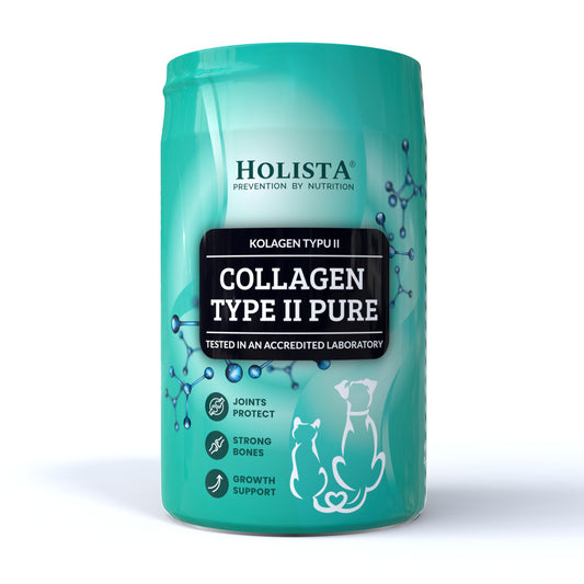 Collagen Type II PURE 200g