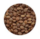 GROW Kurczak Łosoś dla kociąt 1,6kg