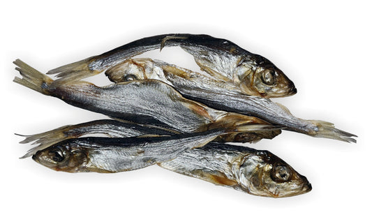 Duże, suszone szprotki premium dla psów, bogate w białko i kwasy omega, wspierające zdrowie serca, skóry i sierści