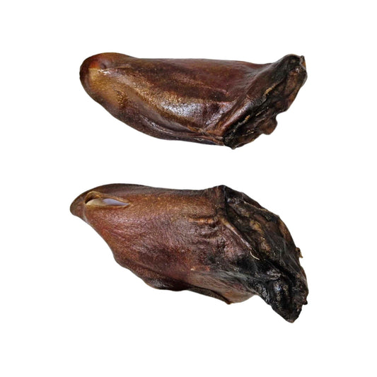 Naturalny, twardy gryzak dla psa z uszu dzika marki Grow, wspierający higienę jamy ustnej