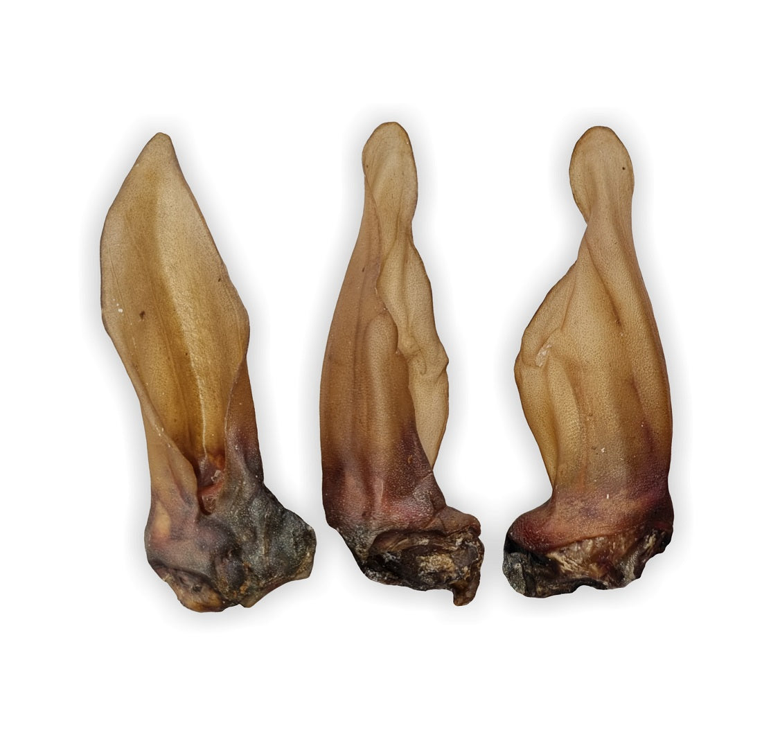 Naturalny, twardy gryzak z uszu sarny marki Grow w opakowaniu 10 sztuk dla psa