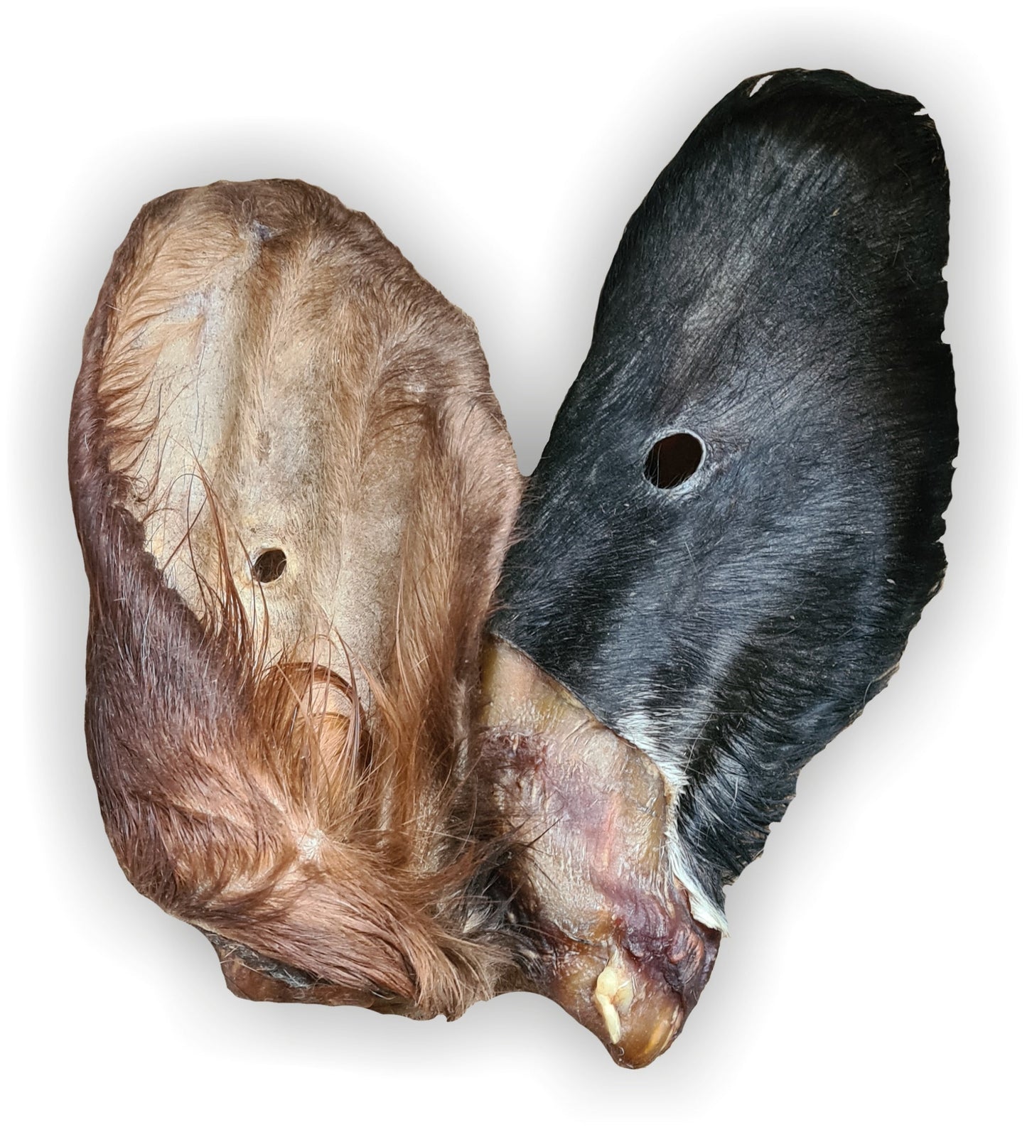 Naturalny, twardy gryzak dla psa w postaci uszu wołowych z futrem, zestaw 10 sztuk